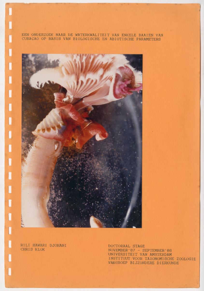 Z Een onderzoek naar de waterkwaliteit van enkele baaien van Curacao op basis van biologische en abiotische parameters - New Page