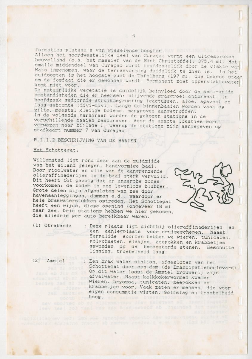 Z Een onderzoek naar de waterkwaliteit van enkele baaien van Curacao op basis van biologische en abiotische parameters - New Page