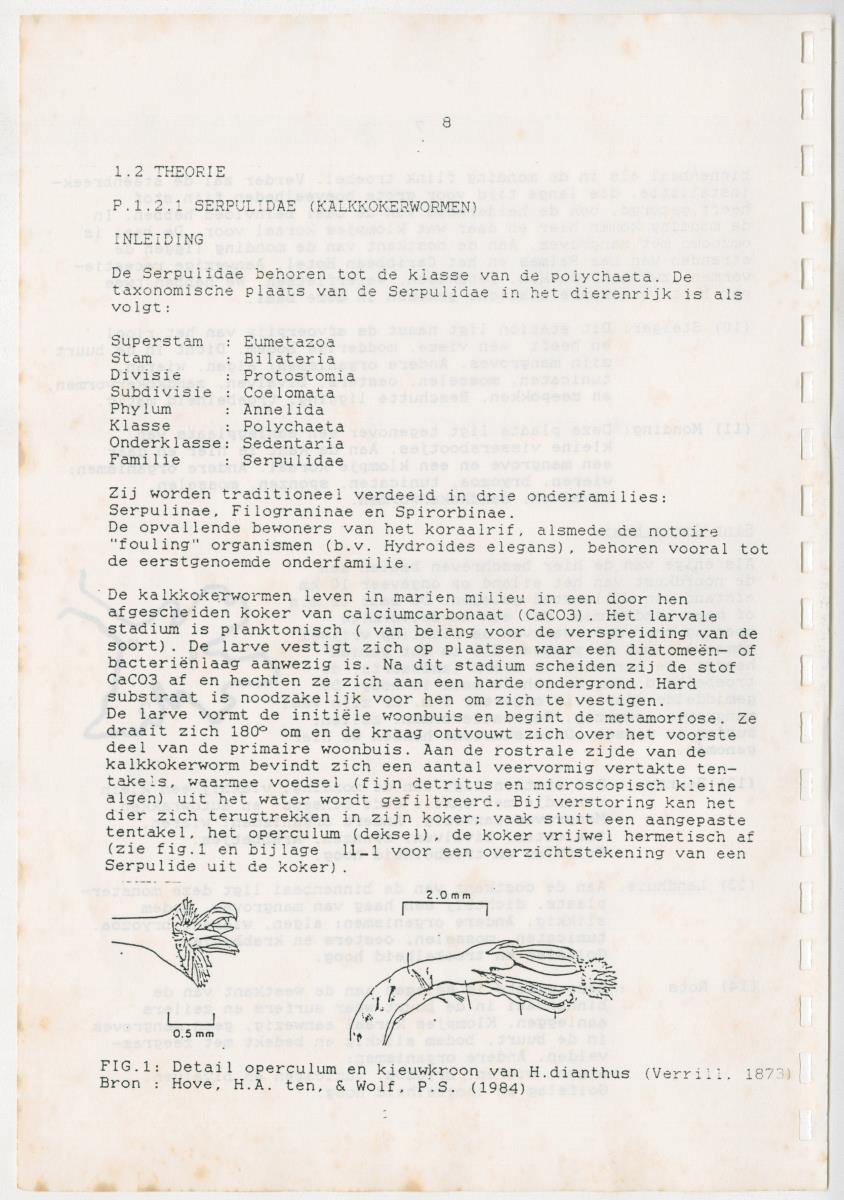 Z Een onderzoek naar de waterkwaliteit van enkele baaien van Curacao op basis van biologische en abiotische parameters - New Page