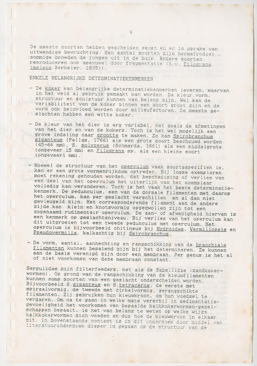 Z Een onderzoek naar de waterkwaliteit van enkele baaien van Curacao op basis van biologische en abiotische parameters - New Page