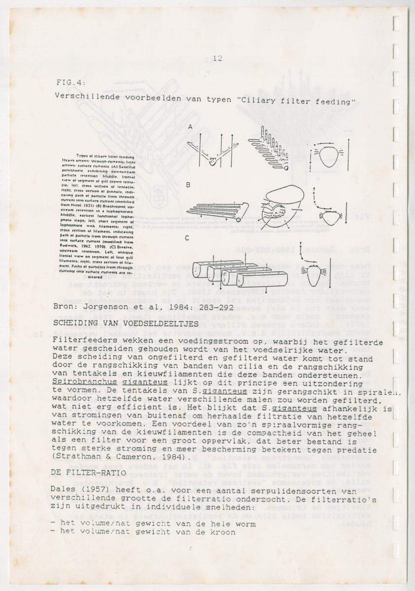 Z Een onderzoek naar de waterkwaliteit van enkele baaien van Curacao op basis van biologische en abiotische parameters - New Page