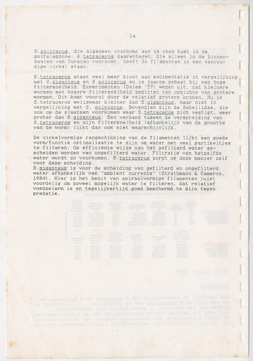 Z Een onderzoek naar de waterkwaliteit van enkele baaien van Curacao op basis van biologische en abiotische parameters - New Page