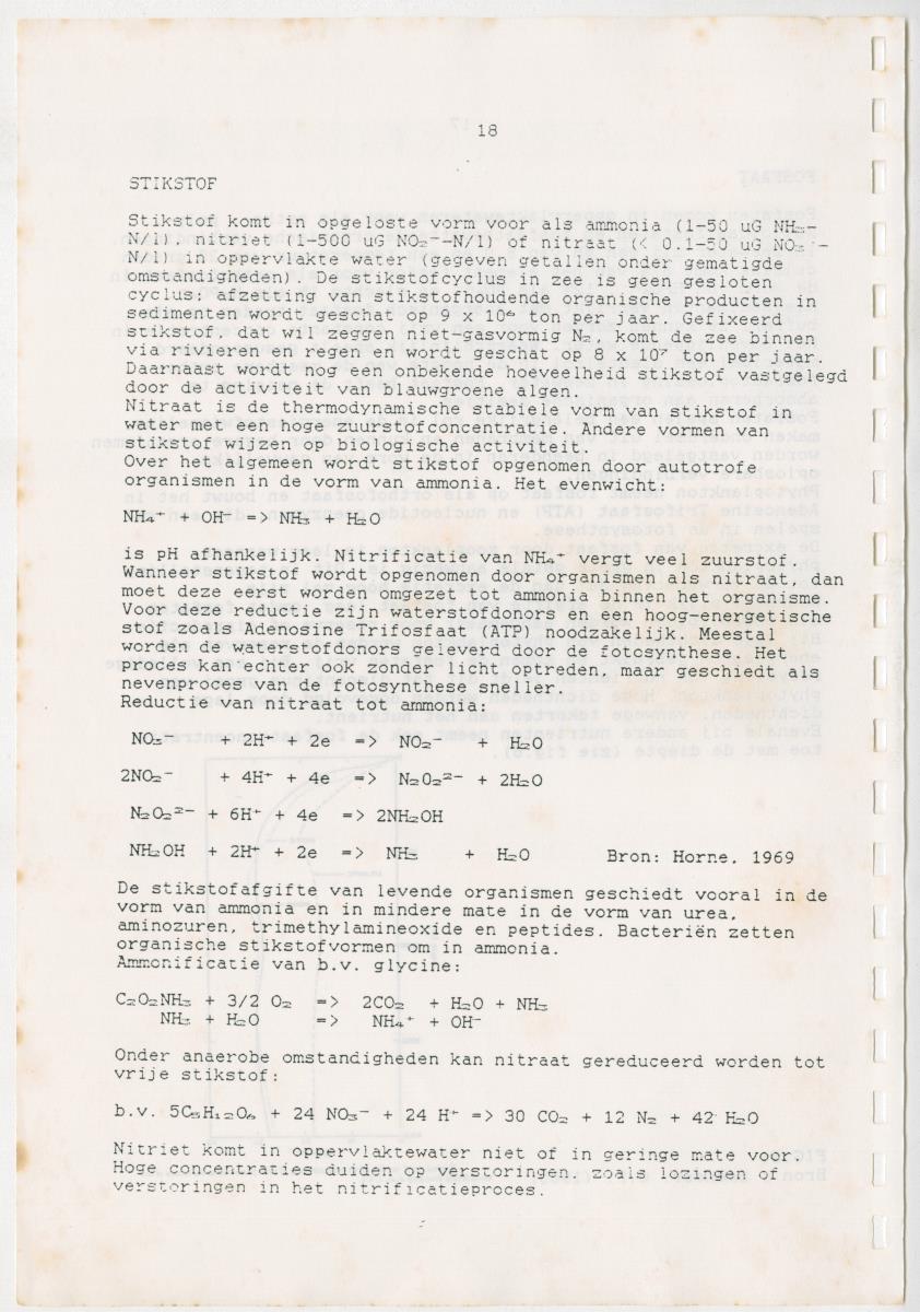 Z Een onderzoek naar de waterkwaliteit van enkele baaien van Curacao op basis van biologische en abiotische parameters - New Page