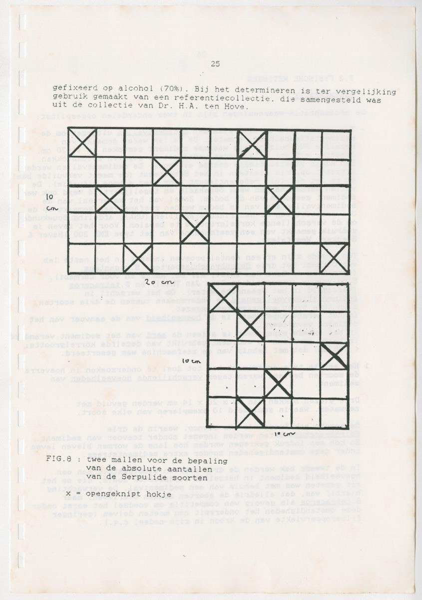 Z Een onderzoek naar de waterkwaliteit van enkele baaien van Curacao op basis van biologische en abiotische parameters - New Page