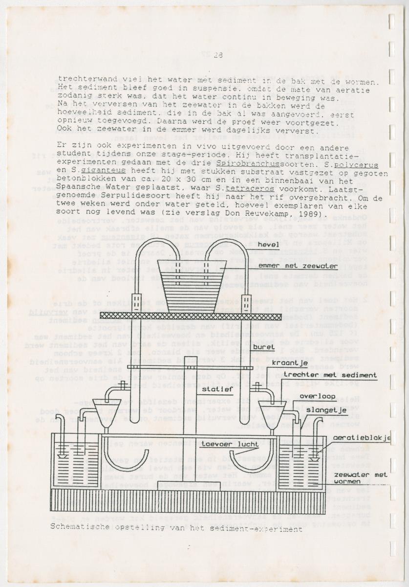 Z Een onderzoek naar de waterkwaliteit van enkele baaien van Curacao op basis van biologische en abiotische parameters - New Page