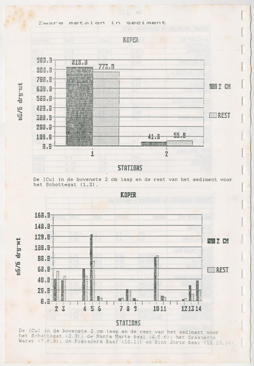 Z Een onderzoek naar de waterkwaliteit van enkele baaien van Curacao op basis van biologische en abiotische parameters - New Page