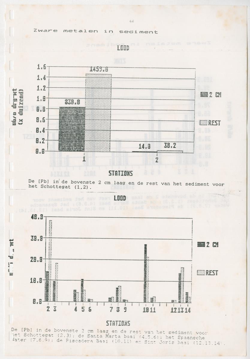 Z Een onderzoek naar de waterkwaliteit van enkele baaien van Curacao op basis van biologische en abiotische parameters - New Page