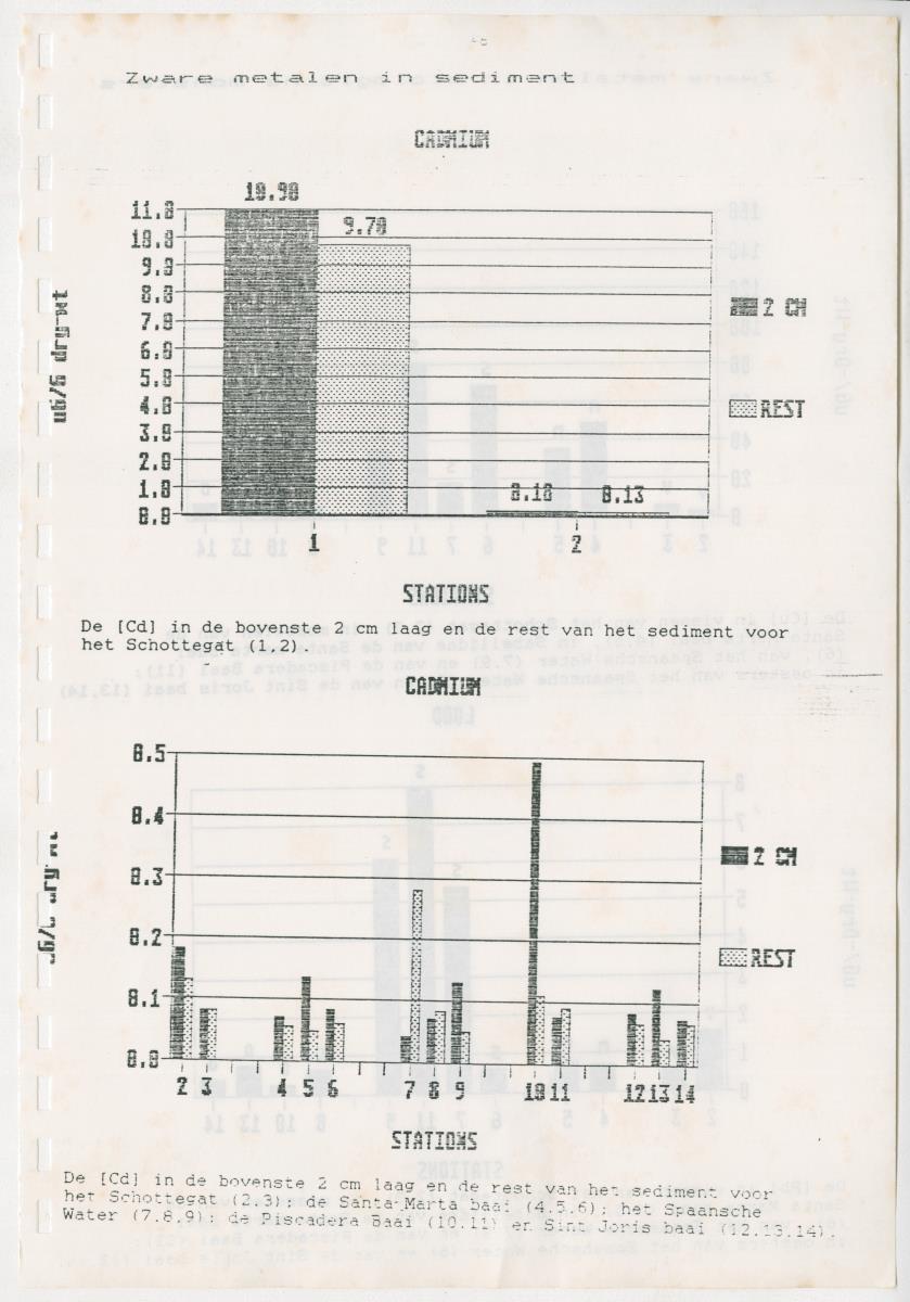 Z Een onderzoek naar de waterkwaliteit van enkele baaien van Curacao op basis van biologische en abiotische parameters - New Page