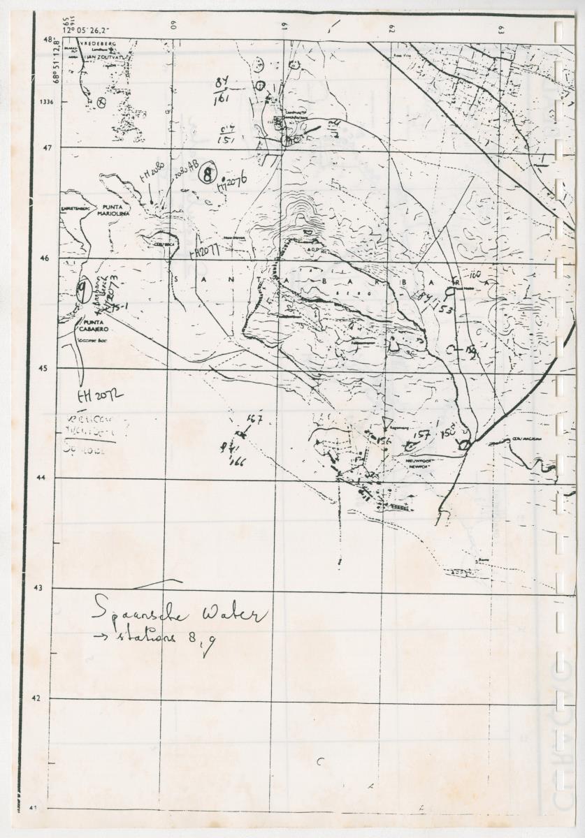 Z Een onderzoek naar de waterkwaliteit van enkele baaien van Curacao op basis van biologische en abiotische parameters - New Page