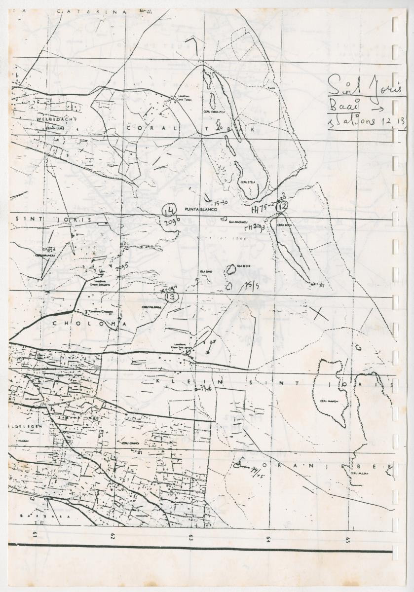 Z Een onderzoek naar de waterkwaliteit van enkele baaien van Curacao op basis van biologische en abiotische parameters - New Page