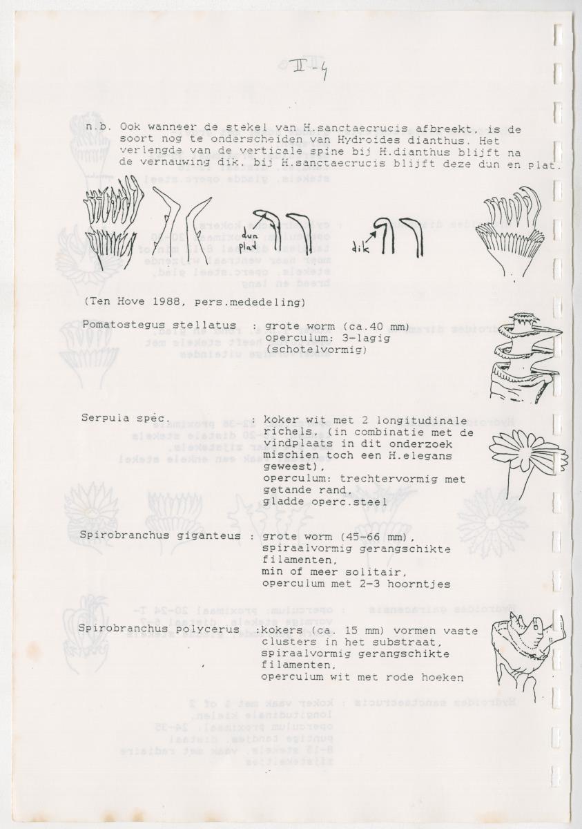 Z Een onderzoek naar de waterkwaliteit van enkele baaien van Curacao op basis van biologische en abiotische parameters - New Page
