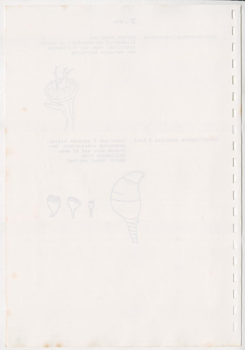 Z Een onderzoek naar de waterkwaliteit van enkele baaien van Curacao op basis van biologische en abiotische parameters - New Page