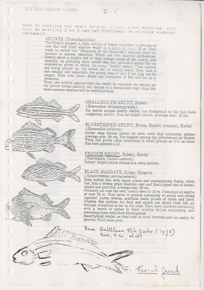 Z Een onderzoek naar de waterkwaliteit van enkele baaien van Curacao op basis van biologische en abiotische parameters - New Page