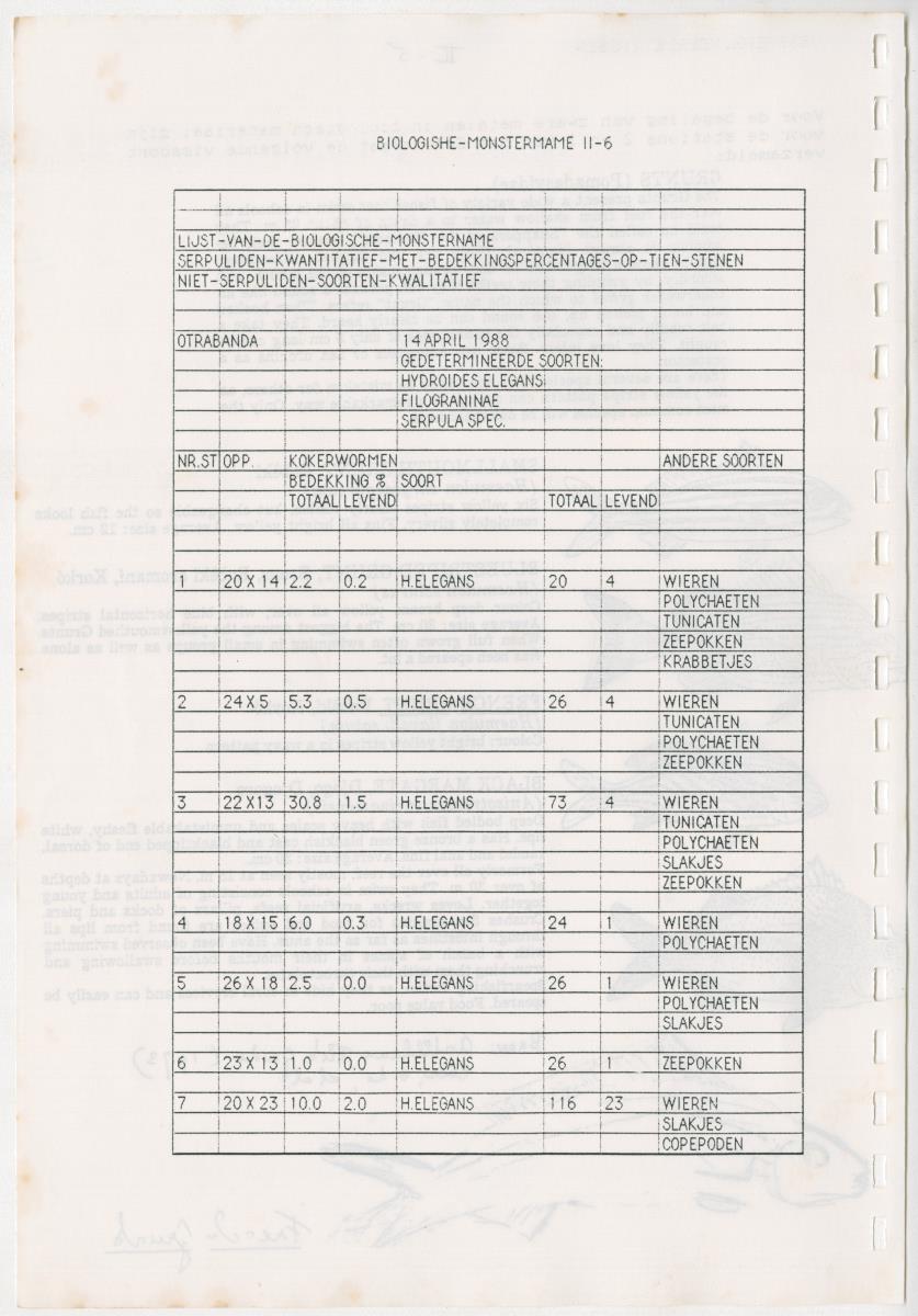 Z Een onderzoek naar de waterkwaliteit van enkele baaien van Curacao op basis van biologische en abiotische parameters - New Page