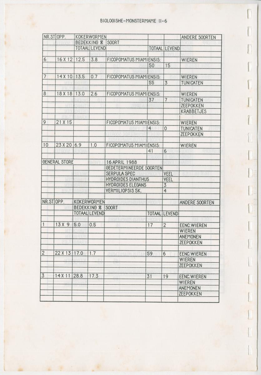 Z Een onderzoek naar de waterkwaliteit van enkele baaien van Curacao op basis van biologische en abiotische parameters - New Page