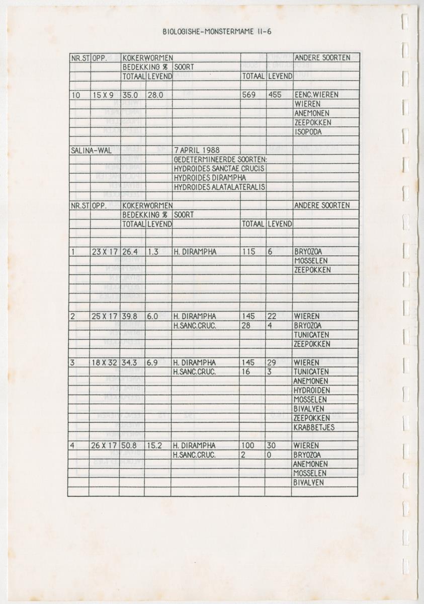 Z Een onderzoek naar de waterkwaliteit van enkele baaien van Curacao op basis van biologische en abiotische parameters - New Page