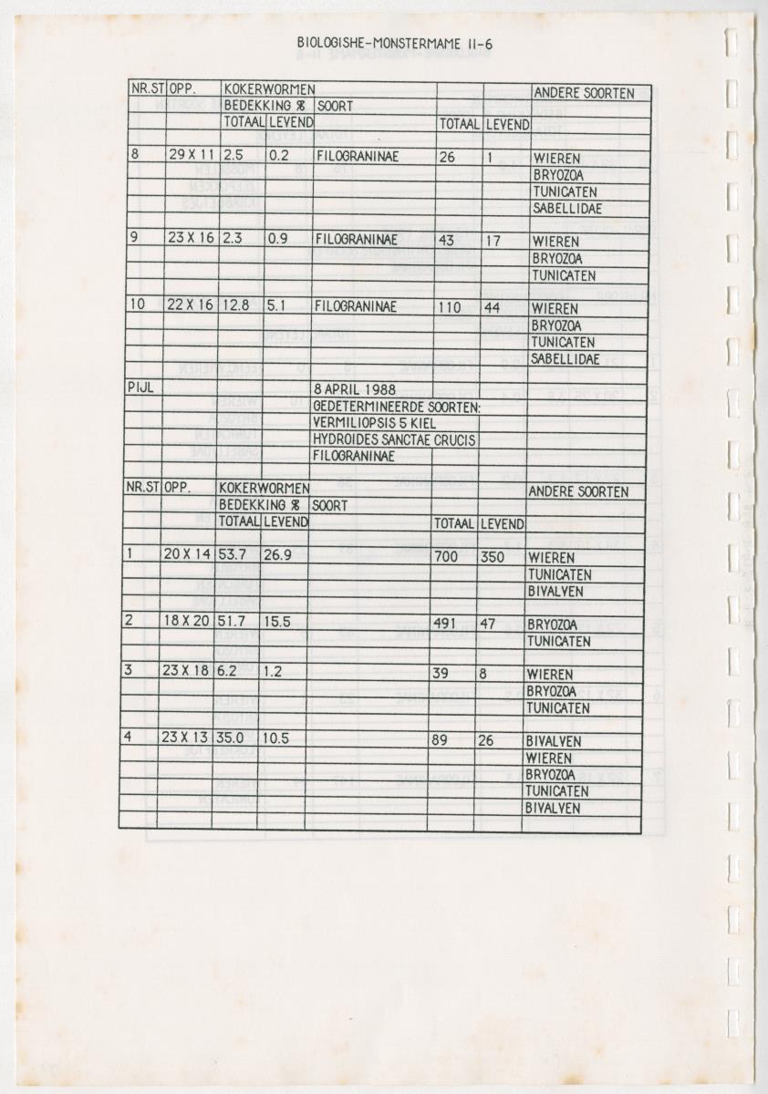 Z Een onderzoek naar de waterkwaliteit van enkele baaien van Curacao op basis van biologische en abiotische parameters - New Page