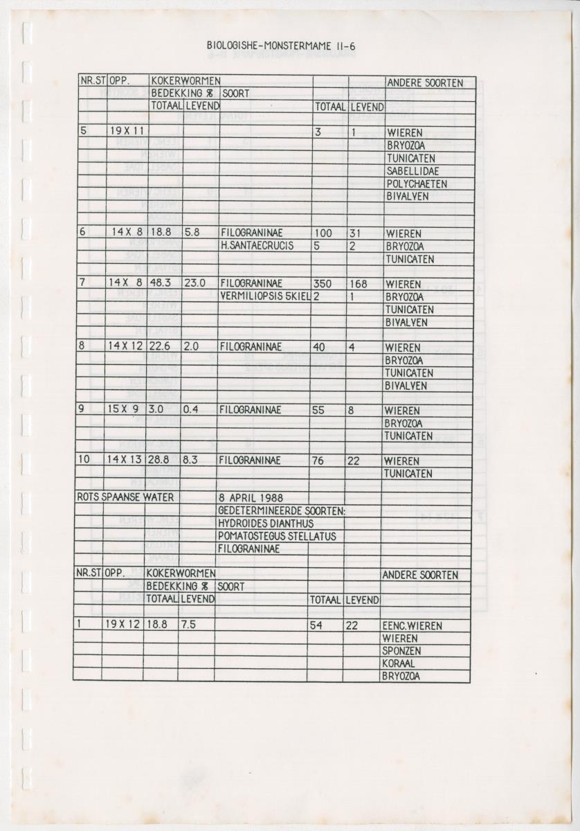 Z Een onderzoek naar de waterkwaliteit van enkele baaien van Curacao op basis van biologische en abiotische parameters - New Page