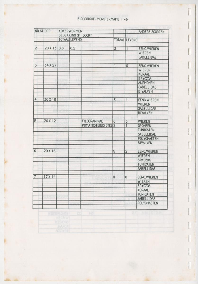 Z Een onderzoek naar de waterkwaliteit van enkele baaien van Curacao op basis van biologische en abiotische parameters - New Page