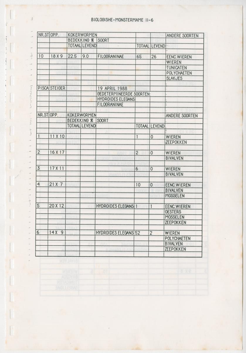 Z Een onderzoek naar de waterkwaliteit van enkele baaien van Curacao op basis van biologische en abiotische parameters - New Page