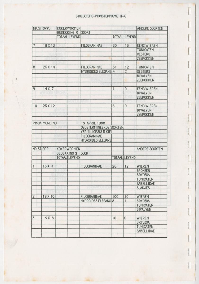 Z Een onderzoek naar de waterkwaliteit van enkele baaien van Curacao op basis van biologische en abiotische parameters - New Page