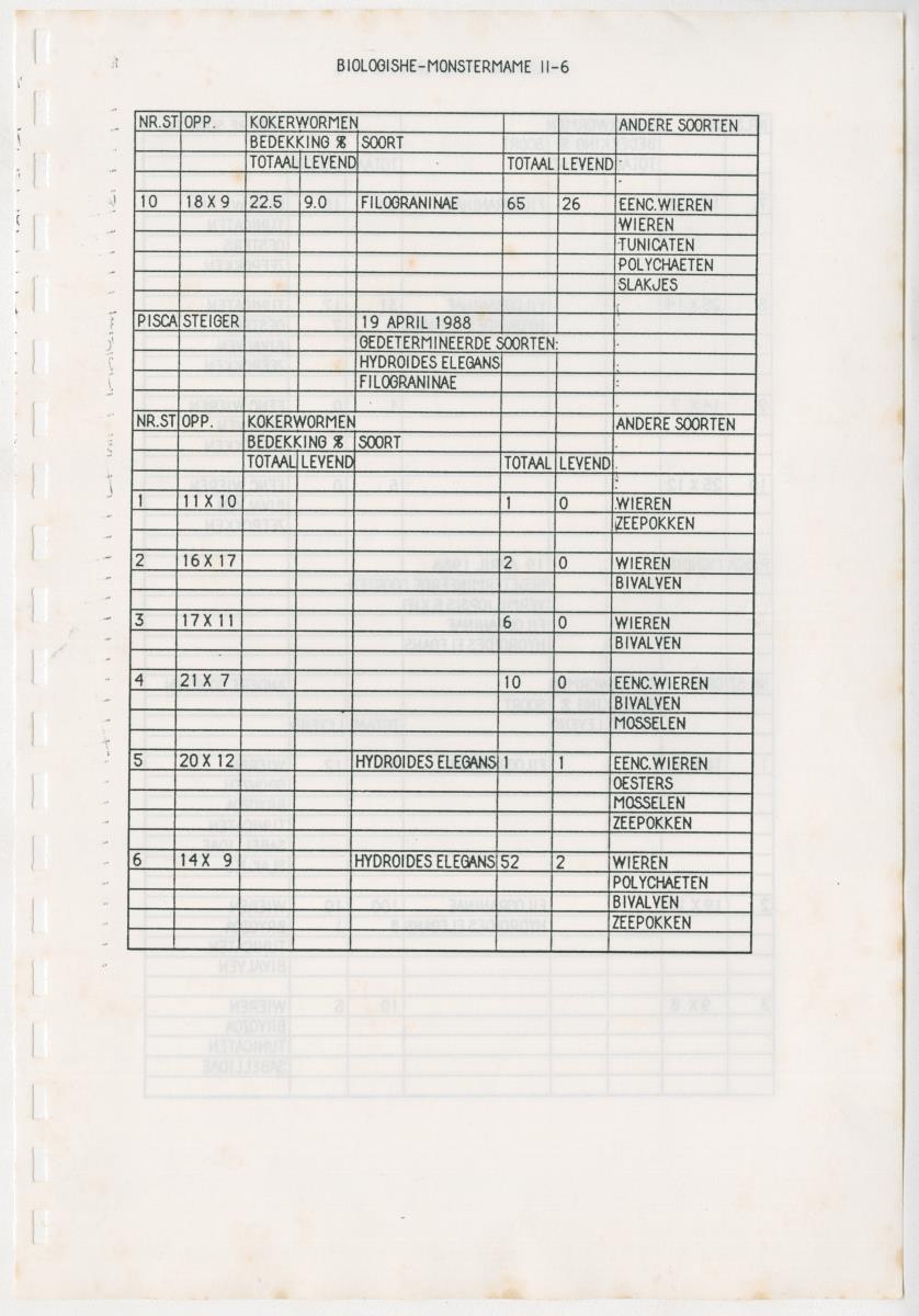 Z Een onderzoek naar de waterkwaliteit van enkele baaien van Curacao op basis van biologische en abiotische parameters - New Page