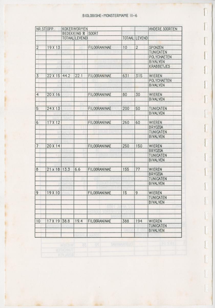 Z Een onderzoek naar de waterkwaliteit van enkele baaien van Curacao op basis van biologische en abiotische parameters - New Page