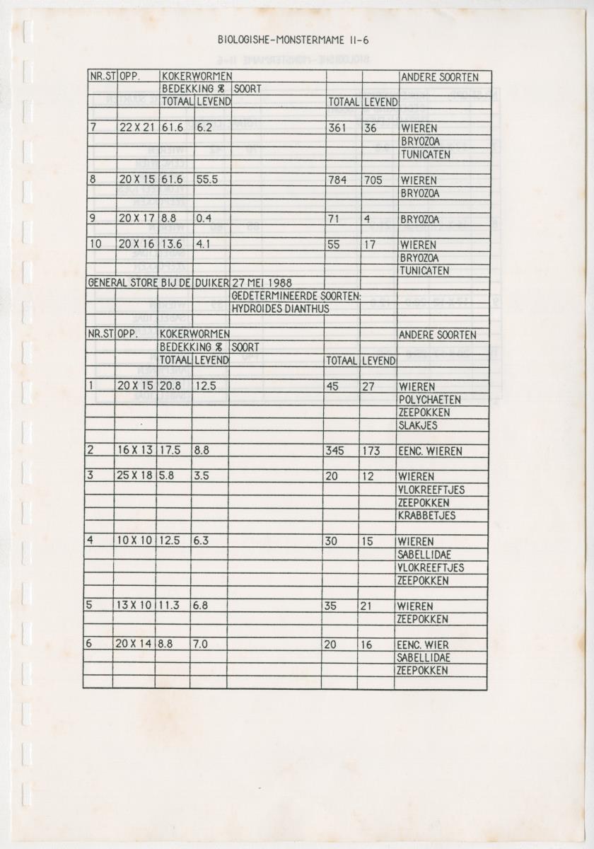 Z Een onderzoek naar de waterkwaliteit van enkele baaien van Curacao op basis van biologische en abiotische parameters - New Page