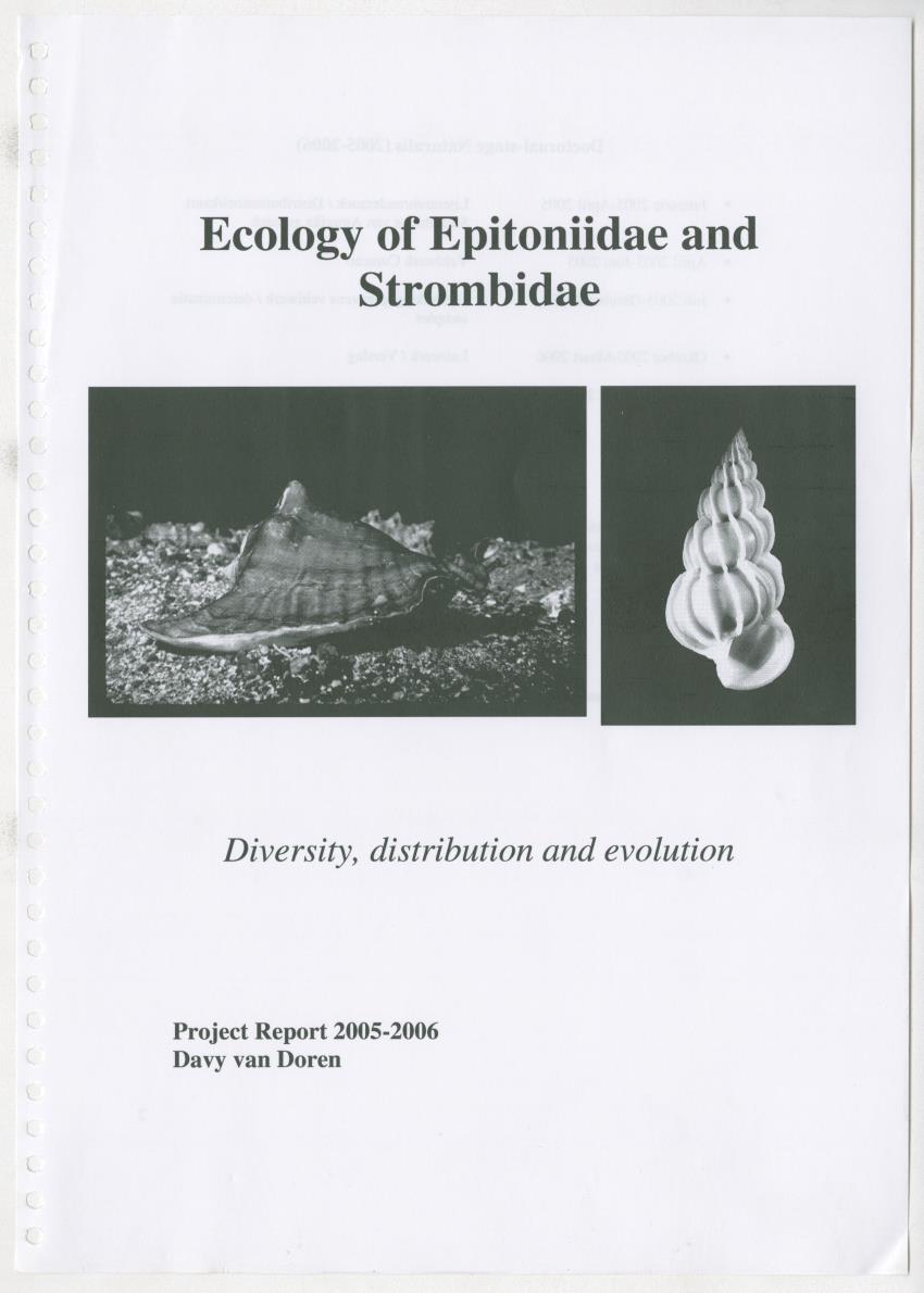 Z Ecology of Epitoniidae and Strombidae - New Page
