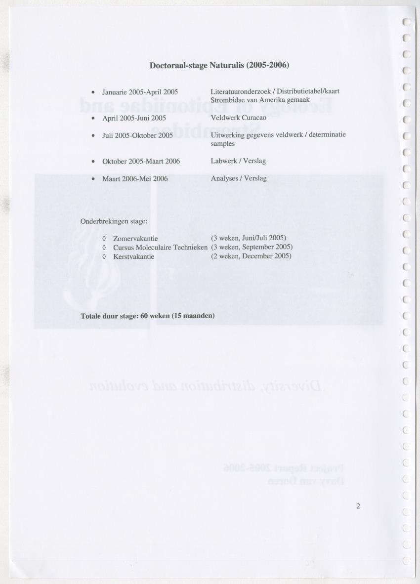 Z Ecology of Epitoniidae and Strombidae - New Page