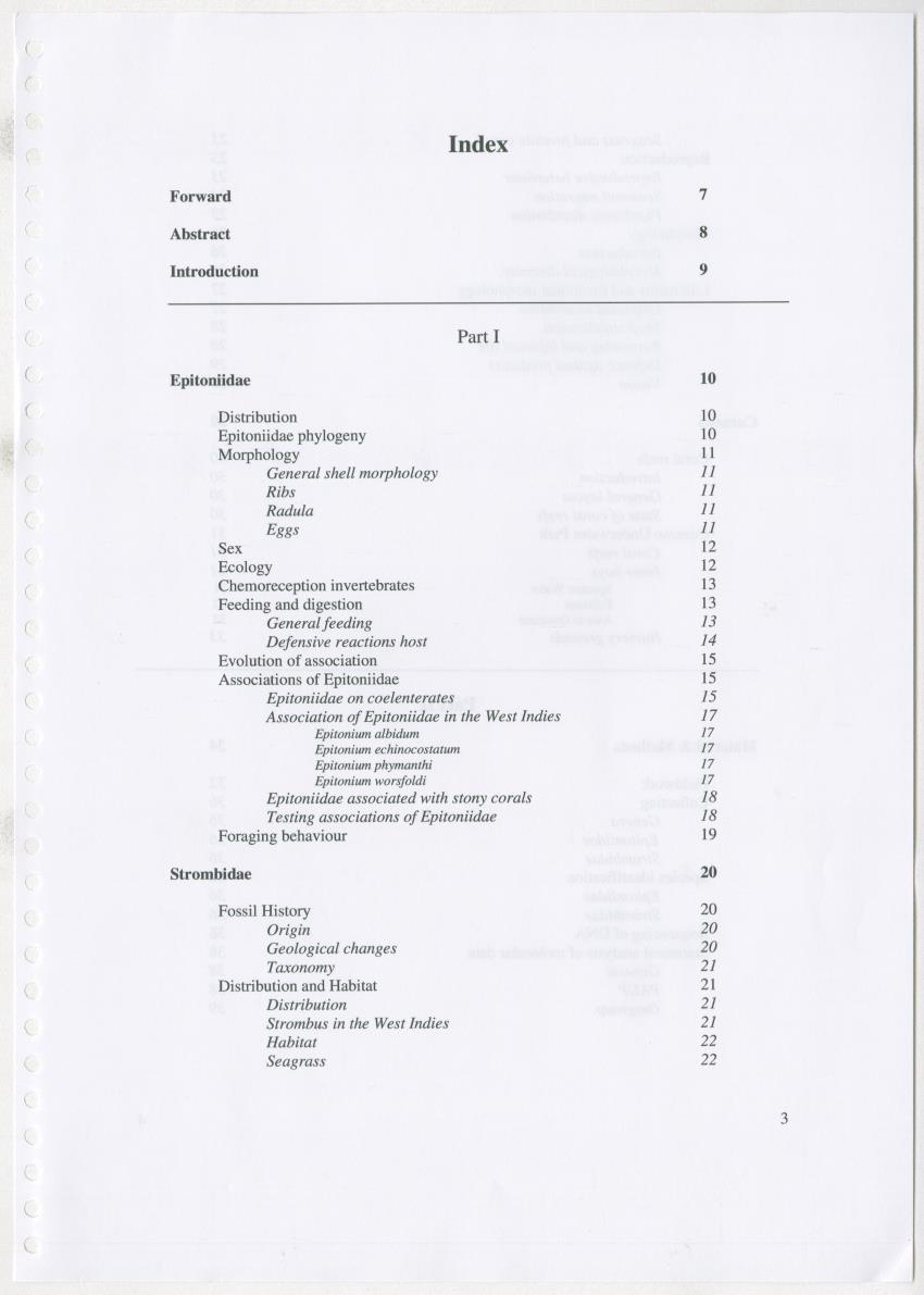 Z Ecology of Epitoniidae and Strombidae - New Page