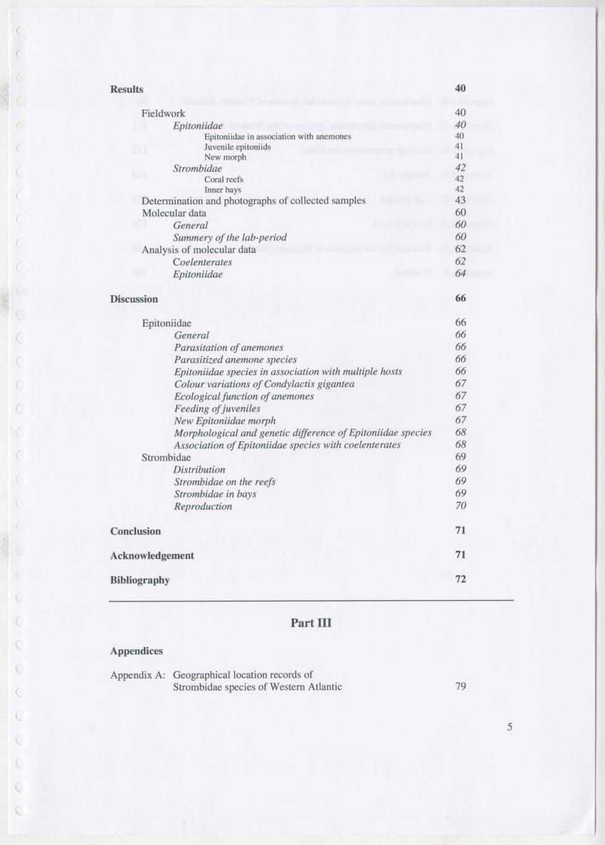 Z Ecology of Epitoniidae and Strombidae - New Page