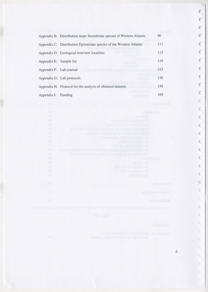 Z Ecology of Epitoniidae and Strombidae - New Page