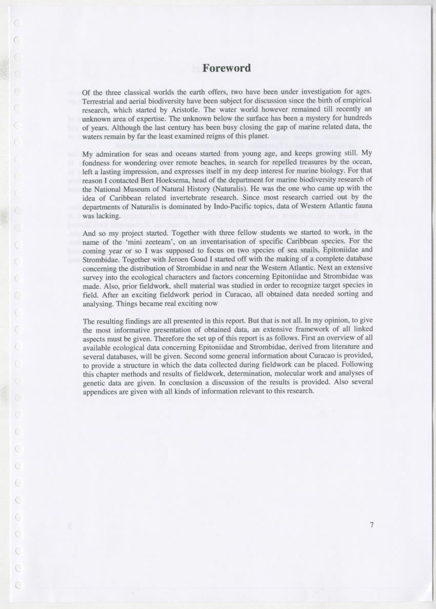 Z Ecology of Epitoniidae and Strombidae - New Page