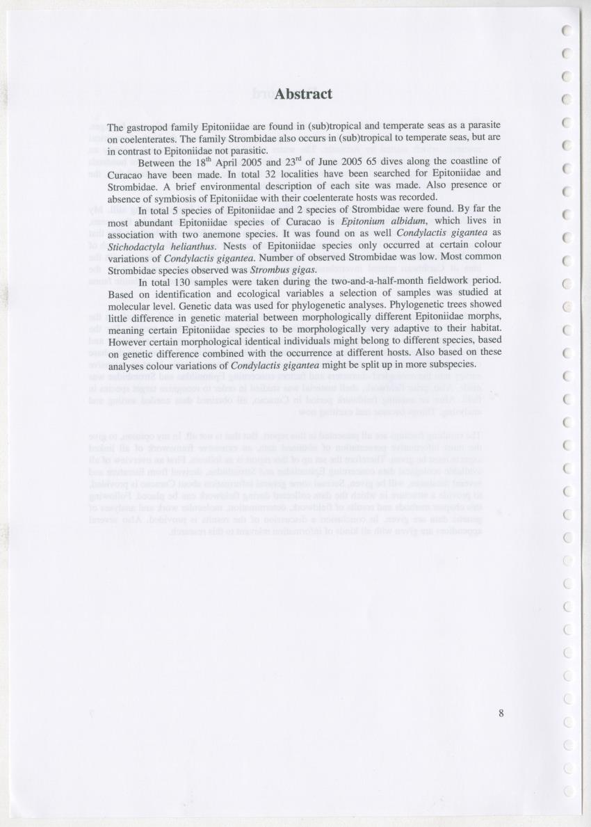 Z Ecology of Epitoniidae and Strombidae - New Page