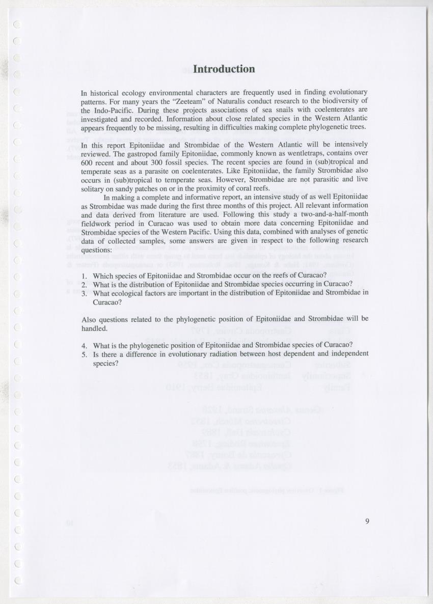 Z Ecology of Epitoniidae and Strombidae - New Page