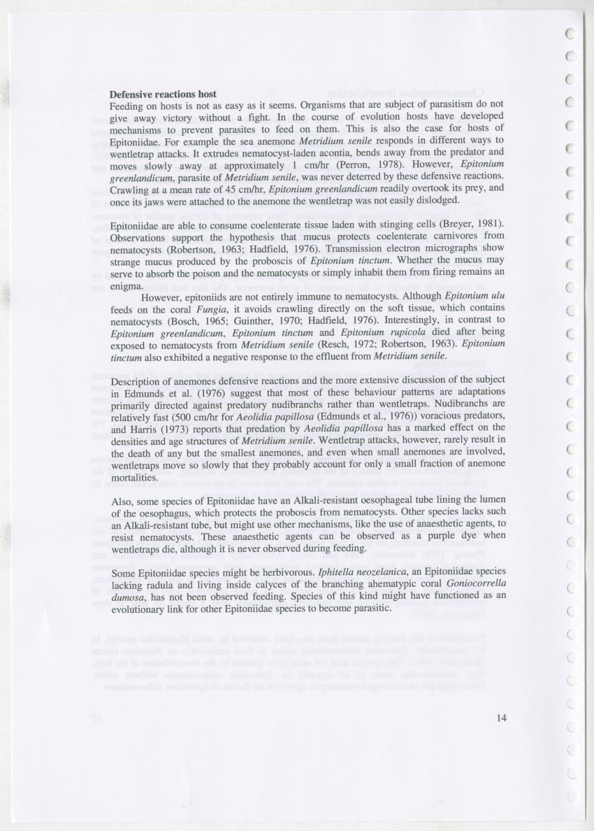 Z Ecology of Epitoniidae and Strombidae - New Page