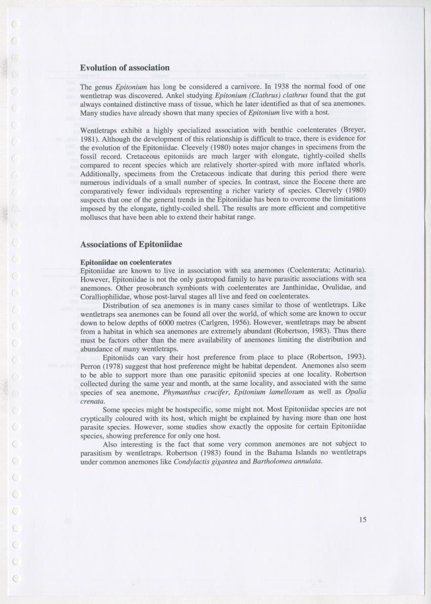 Z Ecology of Epitoniidae and Strombidae - New Page