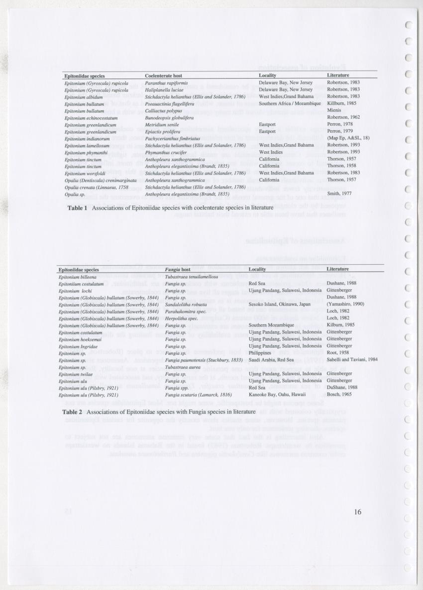 Z Ecology of Epitoniidae and Strombidae - New Page