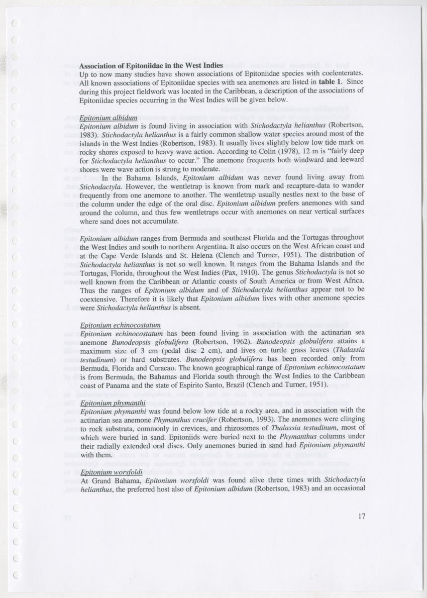 Z Ecology of Epitoniidae and Strombidae - New Page