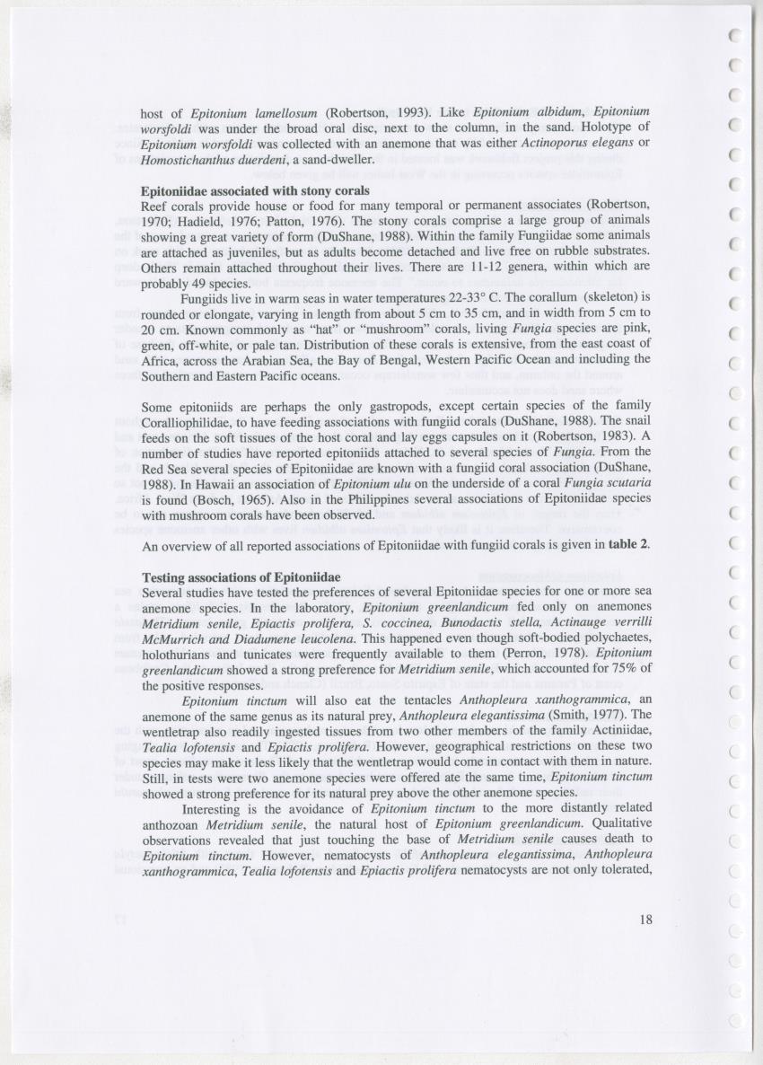 Z Ecology of Epitoniidae and Strombidae - New Page