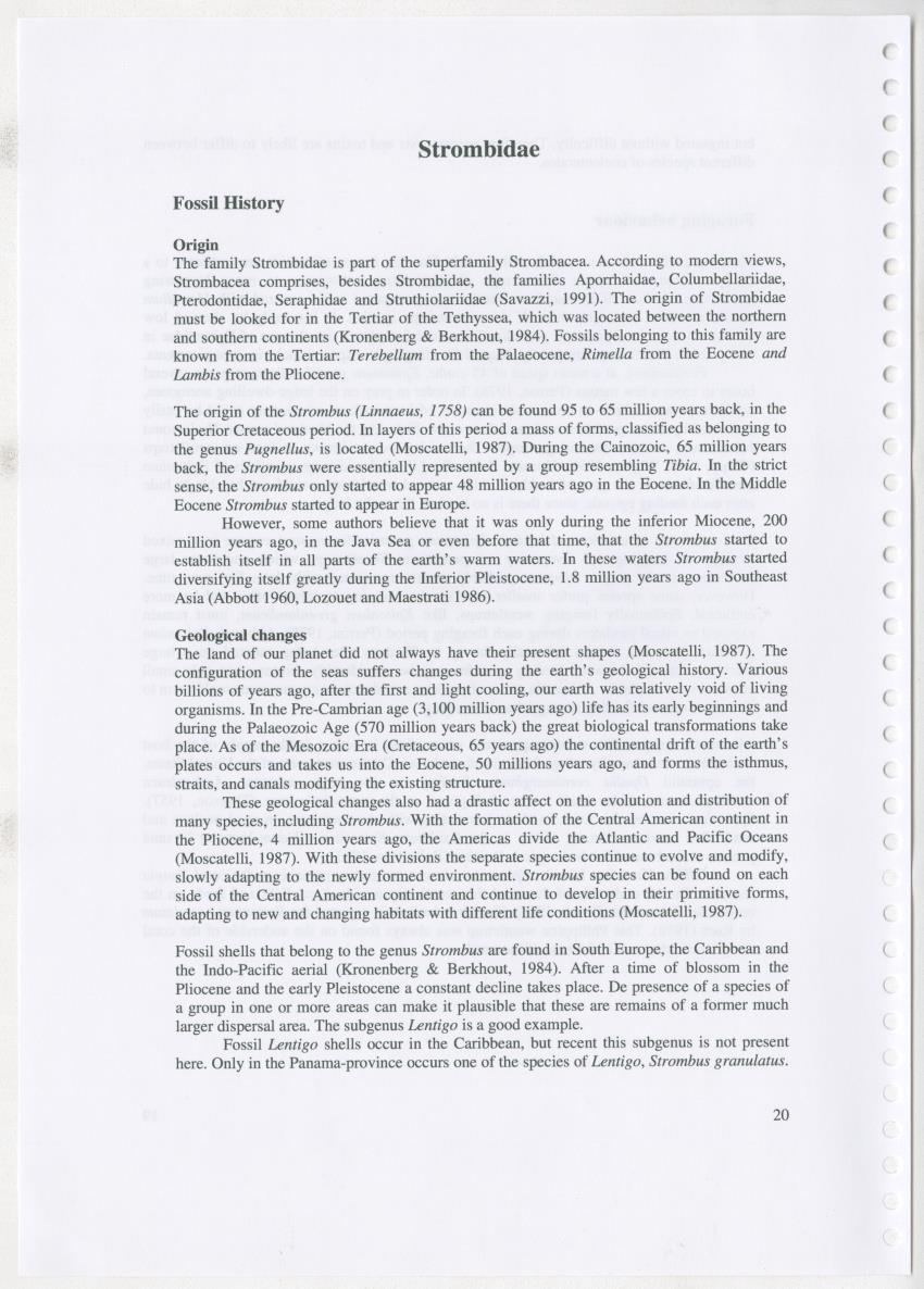 Z Ecology of Epitoniidae and Strombidae - New Page