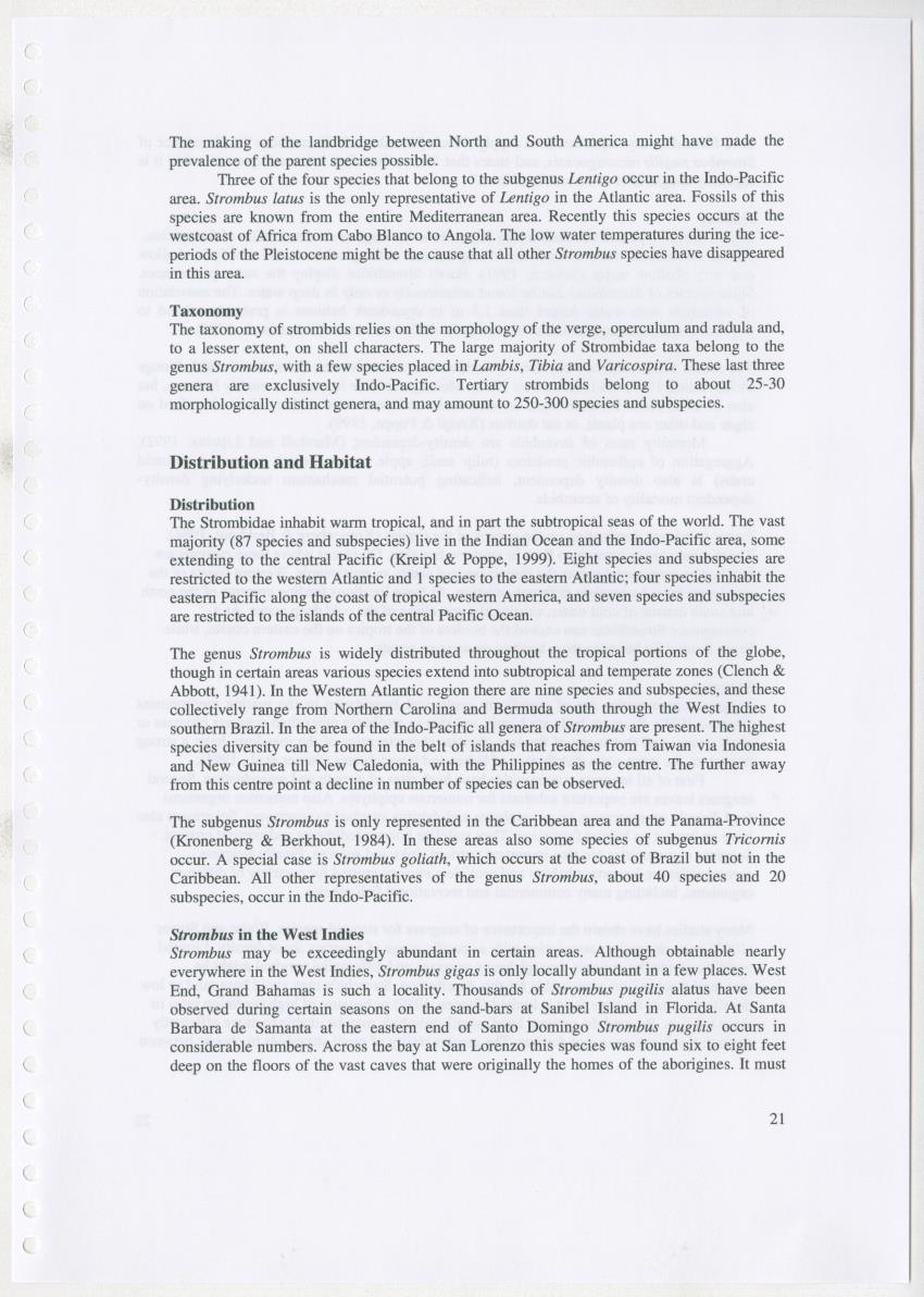 Z Ecology of Epitoniidae and Strombidae - New Page