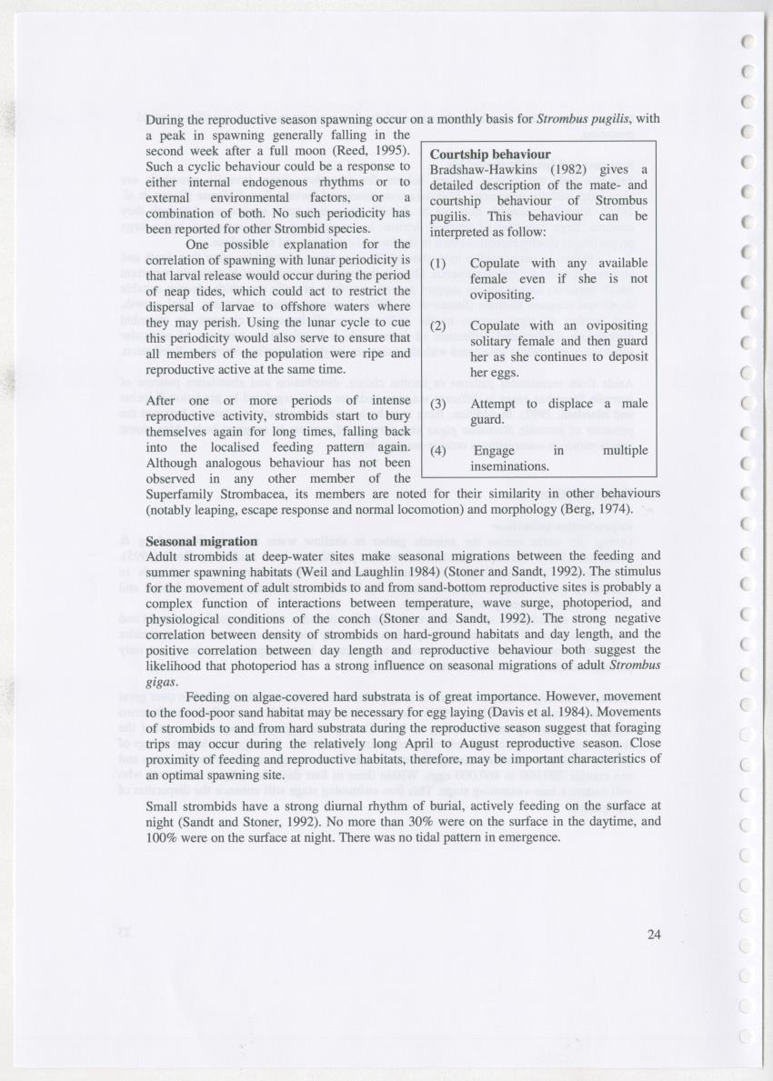 Z Ecology of Epitoniidae and Strombidae - New Page
