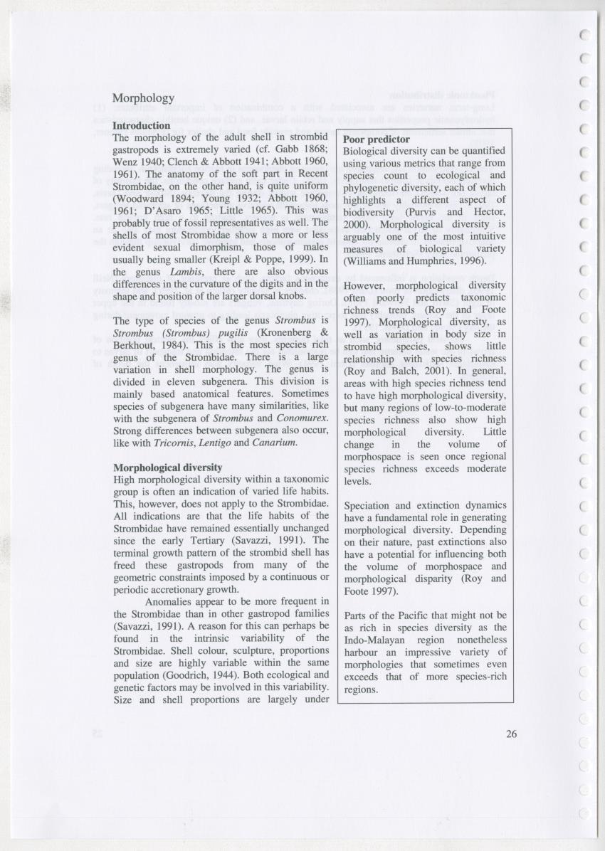 Z Ecology of Epitoniidae and Strombidae - New Page