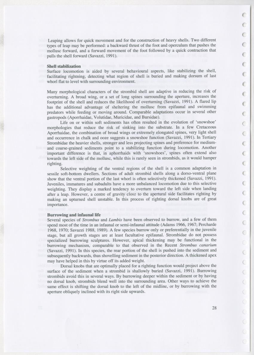 Z Ecology of Epitoniidae and Strombidae - New Page