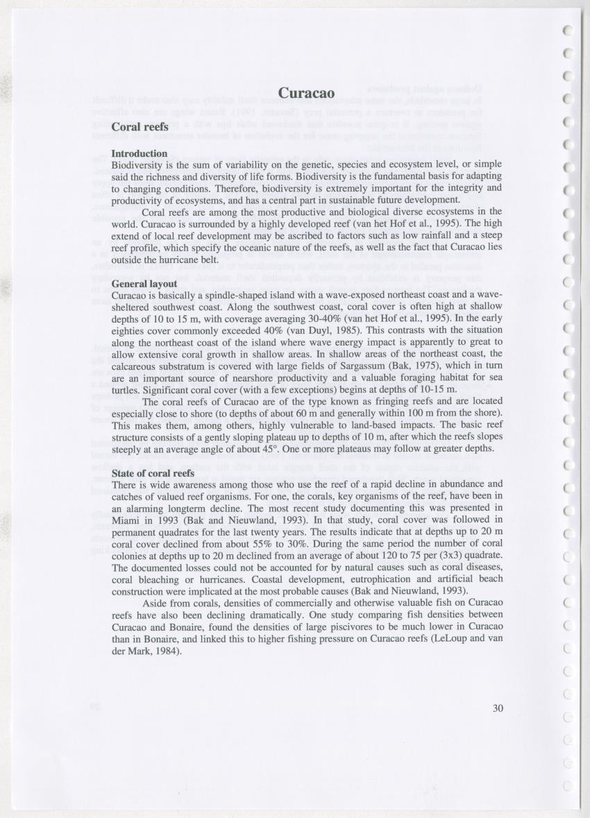 Z Ecology of Epitoniidae and Strombidae - New Page