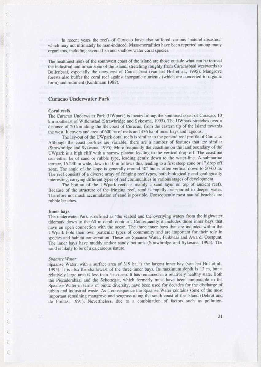 Z Ecology of Epitoniidae and Strombidae - New Page