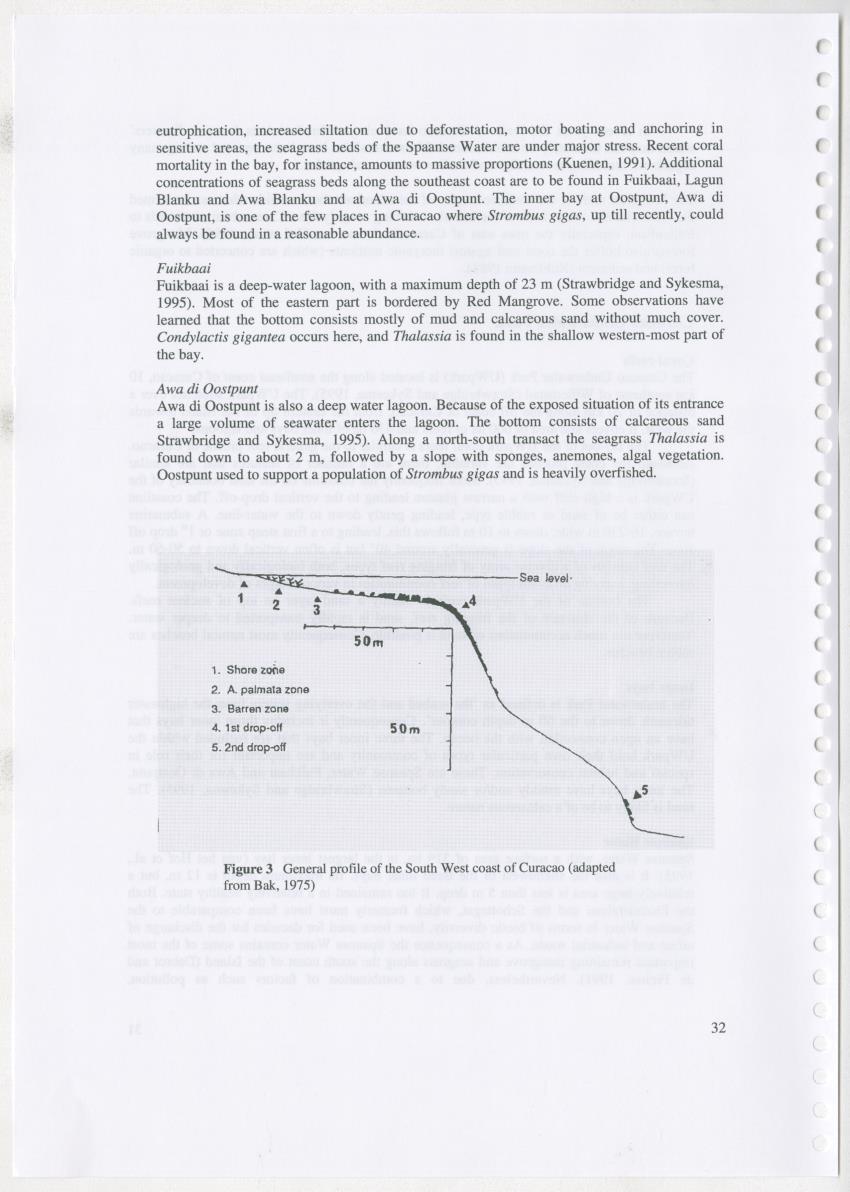 Z Ecology of Epitoniidae and Strombidae - New Page