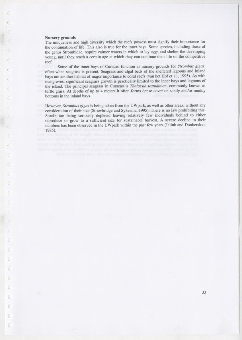 Z Ecology of Epitoniidae and Strombidae - New Page